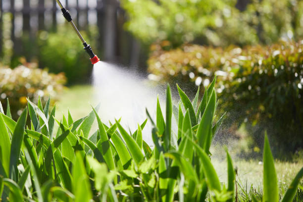 24/7 Emergency Ant Control experts in Carbondale, IL