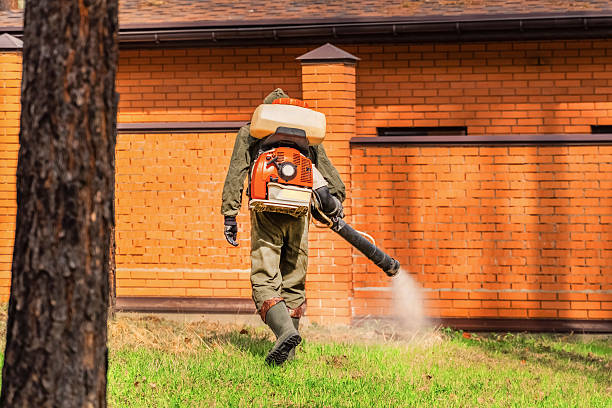 Trusted Ant Control service in Carbondale, IL - Nex Pest Control